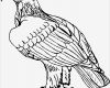 Adler Schnitzen Vorlagen Fabelhaft Adler Sitzend Ausmalbild & Malvorlage Tiere