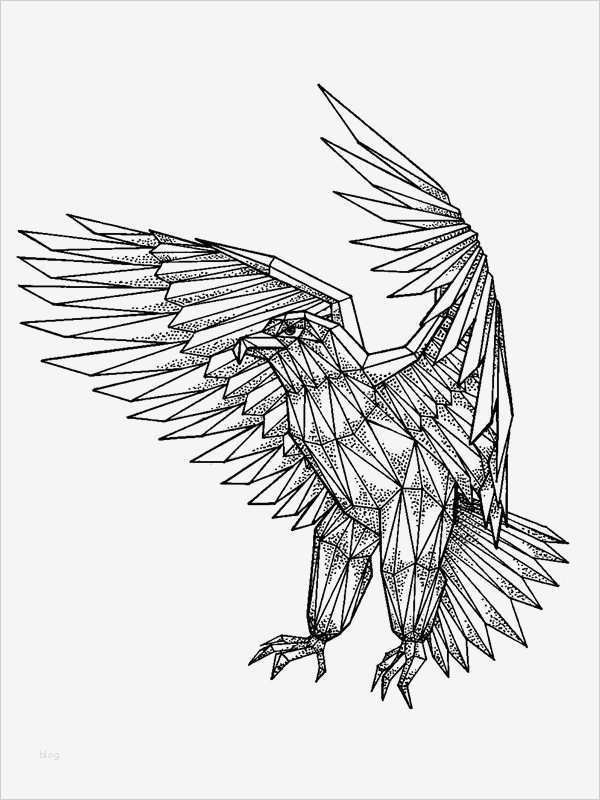 Adler Schnitzen Vorlagen Fabelhaft Die Besten 25 Adler Tattoo Ideen Auf Pinterest