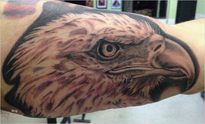 Adler Schnitzen Vorlagen Luxus 20 Wunderschöne Weißkopfseeadler Tattoos