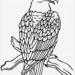 Adler Schnitzen Vorlagen Neu Ausmalbilder Malvorlagen Von Adler Kostenlos Zum