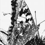 Adobe Stempel Vorlagen Wunderbar Recyclingkunst Ein Tagebuch Vom Land Leben Und Meer