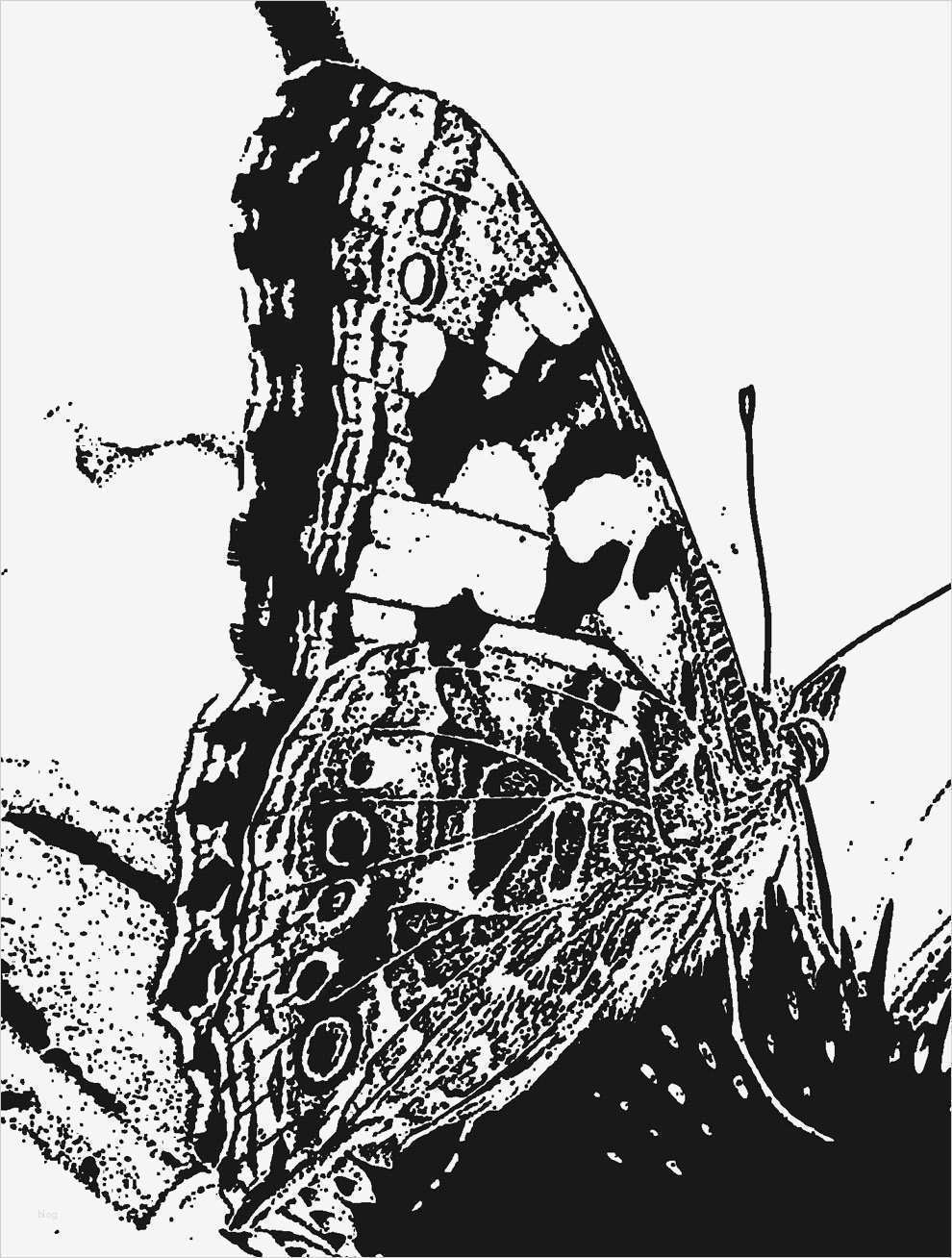 Adobe Stempel Vorlagen Wunderbar Recyclingkunst Ein Tagebuch Vom Land Leben Und Meer