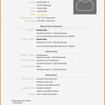 Agentur Für Arbeit Vorlage Lebenslauf Erstaunlich 10 Bewerbung Lebenslauf Vorlage