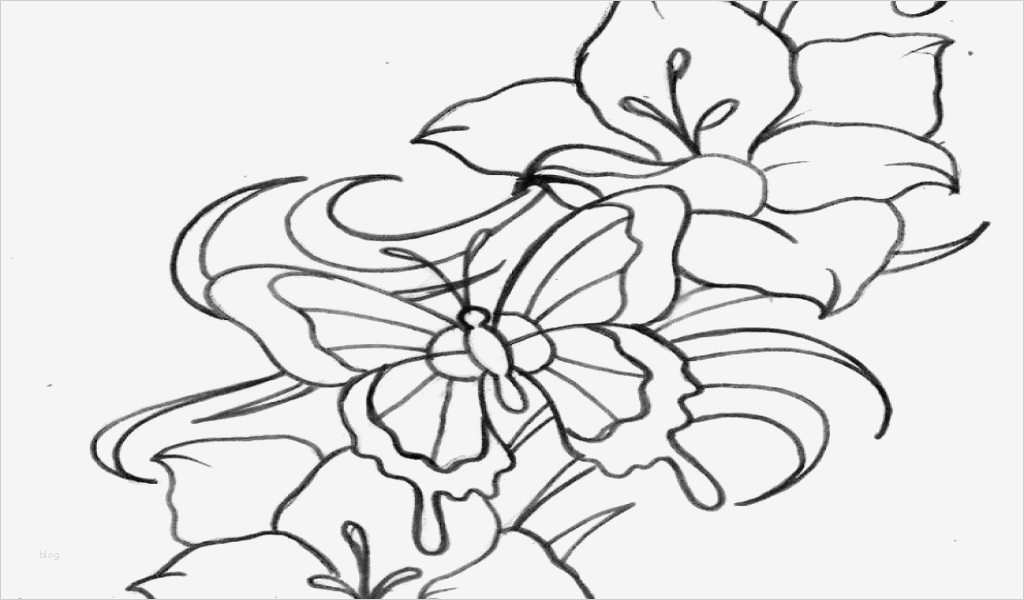 Airbrush Vorlagen Kostenlos Best Of Großartig Airbrush Vorlagen Schablonen Kostenlos Bilder