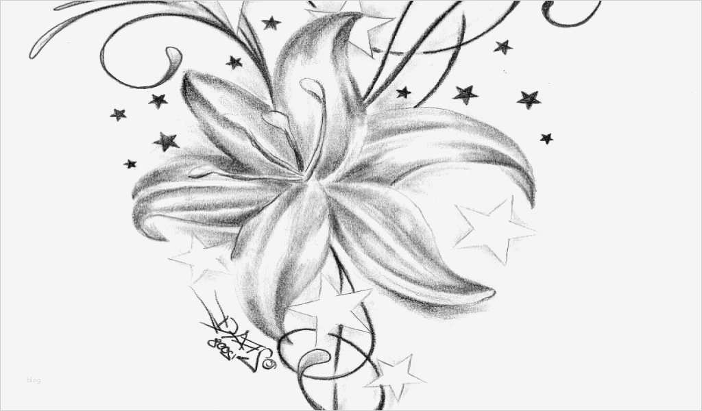 Airbrush Vorlagen Kostenlos Beste Ausgezeichnet Schablonen Vorlagen Kostenlos Bilder