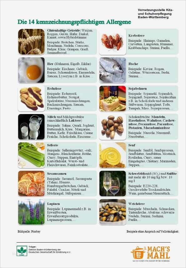 Allergenliste Gastronomie Vorlage Cool Allergenkennzeichung Dge Sektion Baden Württemberg Der