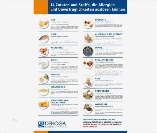 Allergenliste Gastronomie Vorlage Gut Das Dehoga Allergenposter