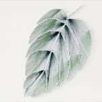 Amazon Bewertung Vorlage Erstaunlich Fadenbild In Statement Leave form Selber Machen