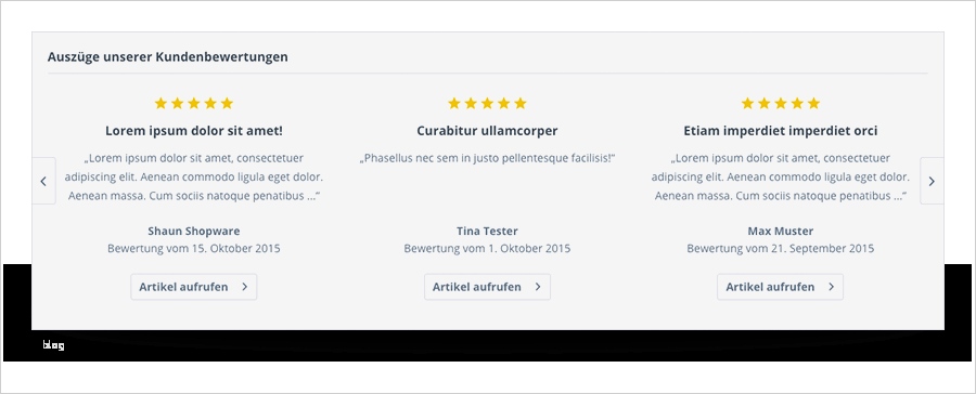 Gemütlich Produktbewertungsvorlage Ideen Entry Level