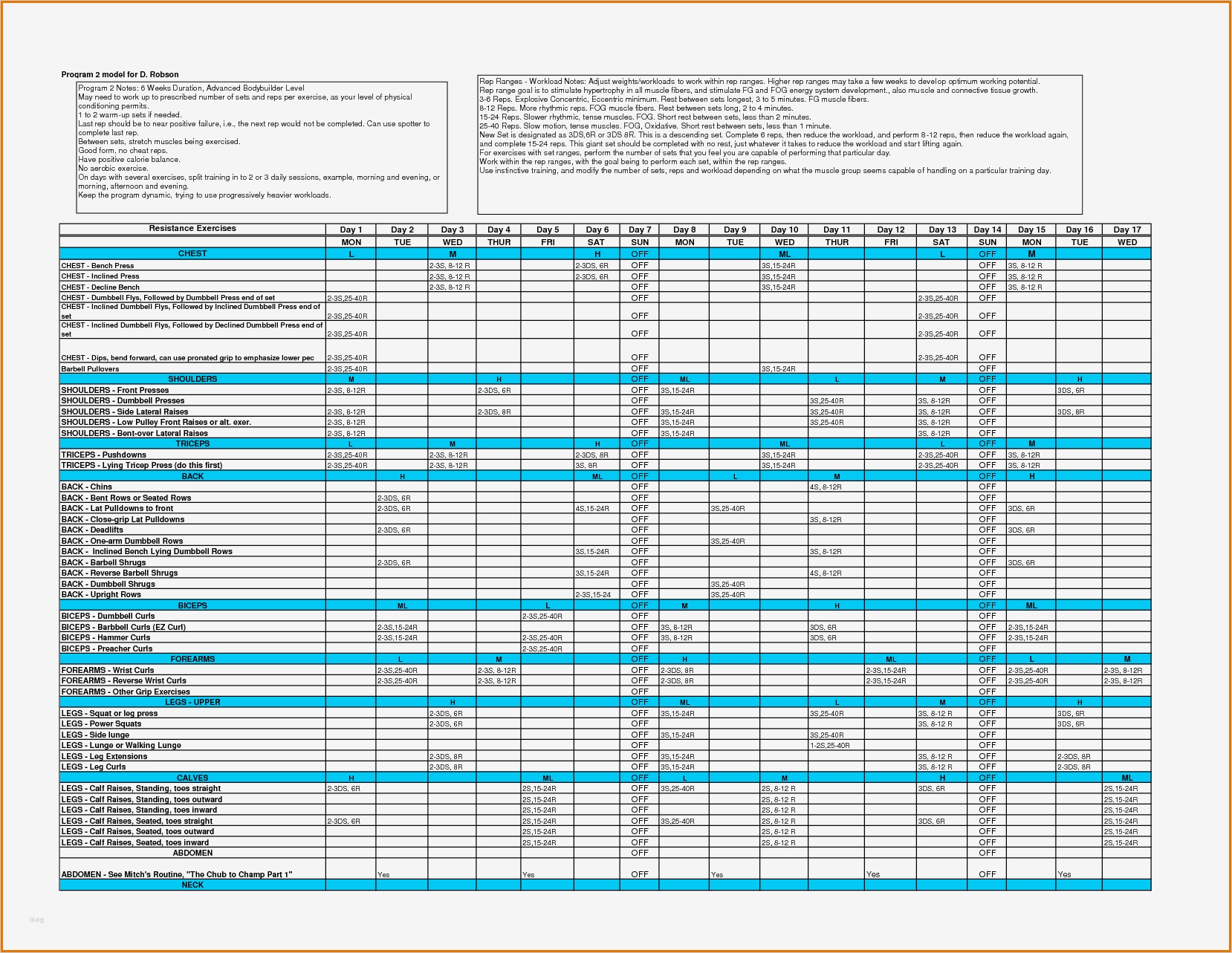 Anamnesebogen Personal Training Vorlage Schön Schön Training Log Excel Vorlage Ideen Vorlagen Ideen