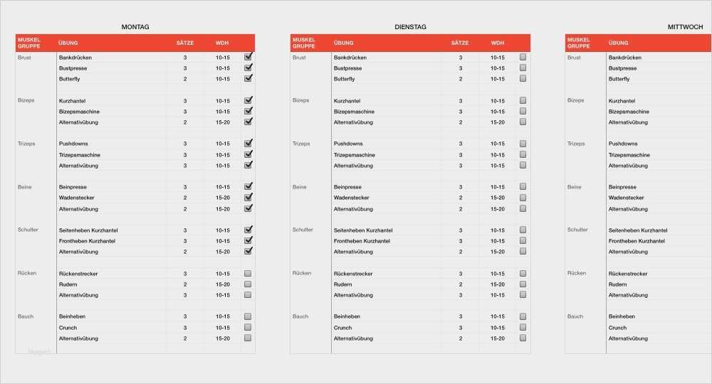 Anamnesebogen Personal Training Vorlage Wunderbar Magnificent Fitness Geschenkgutschein Schablone S