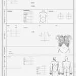 Anamnesebogen Tcm Vorlage Angenehm Gemütlich Anamnese formular Vorlage Zeitgenössisch
