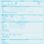 Anamnesebogen Tcm Vorlage Beste Charmant Anamnese formular Vorlage Bilder Entry Level