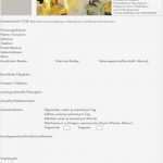 Anamnesebogen Tcm Vorlage Hübsch Charmant Anamnese formular Vorlage Bilder Entry Level