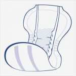 Anatomisch Geformte Vorlagen Für Männer Erstaunlich "seni" Inkontinenz Vorlagen "san Seni Maxi"