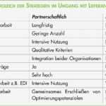 Anforderungskatalog Vorlage Word Best Of Großzügig Lieferantenbewertung Vorlage Bilder Bilder Für