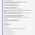Anfrage Kooperation Vorlage Schön Lebenslauf
