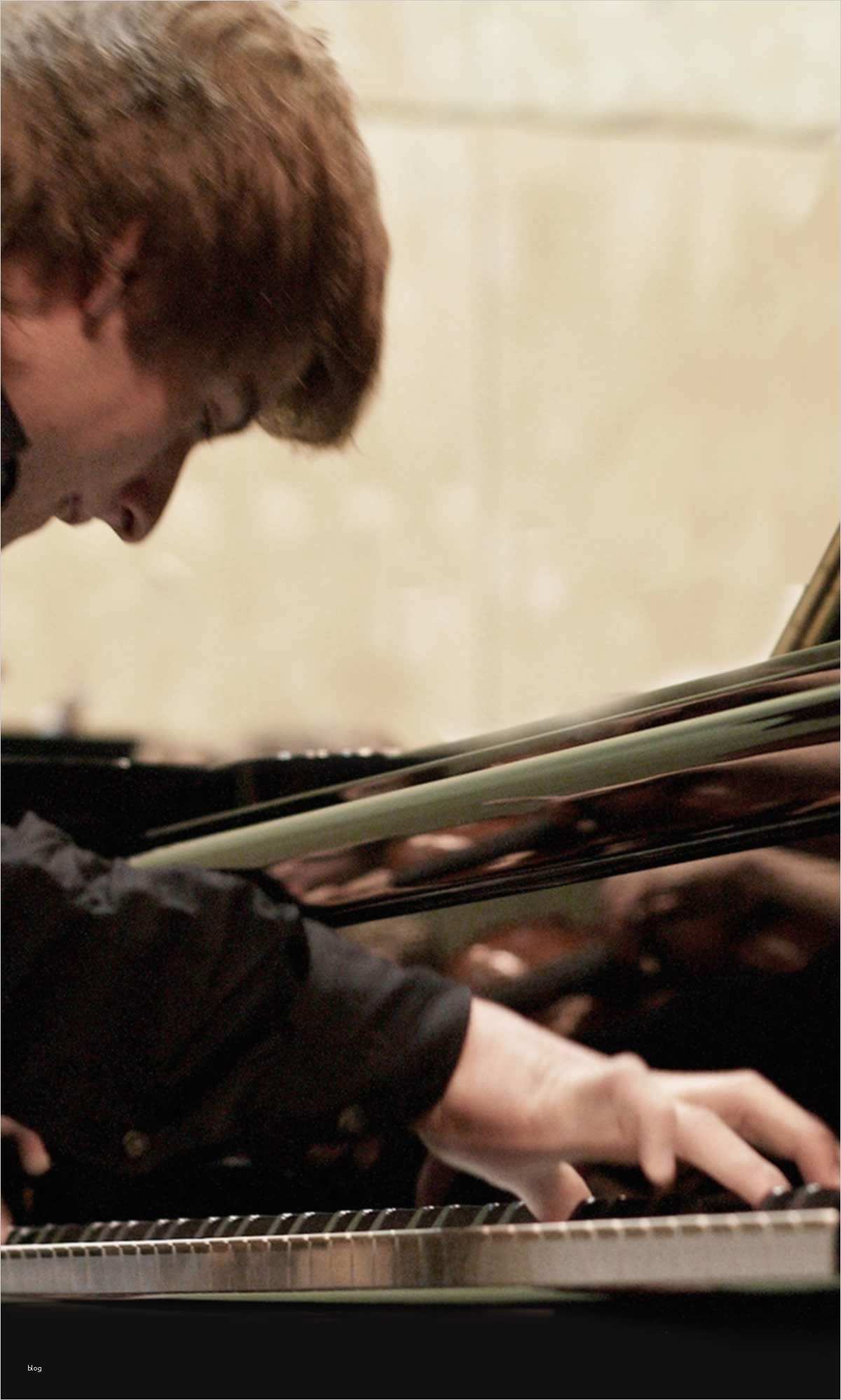 Anfrage Kooperation Vorlage Süß Pre College Frankfurt Pcf