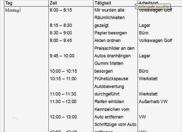 Anlagenmechaniker Wochenbericht Vorlagen Großartig Vorlage Für Einen Tabellarischen Lebenslauf Für Schüler