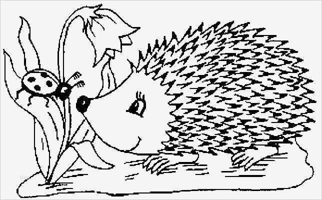 Anmeldung Kindergarten Vorlage Inspiration Igel Ausmalbilder Naturstrolche