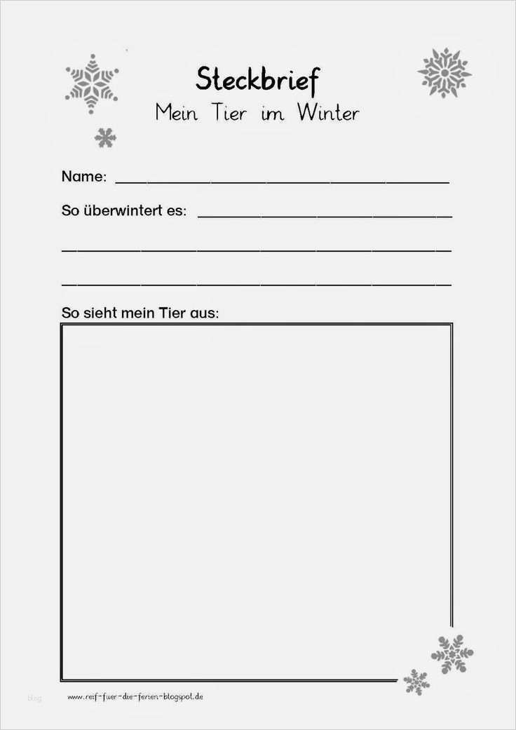 Anmeldung Kindergarten Vorlage Süß Die Besten 25 Steckbrief Ideen Auf Pinterest