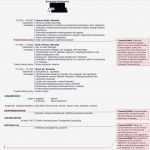 Anschreiben Ausbildung Vorlage Süß Bewerbungsanschreiben Ausbildung Vorlage Modell