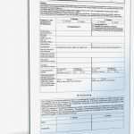 Antrag Teilerlass Meister Bafög Vorlage Bewundernswert Beliebte Downloads • Anträge Dokumente & Vorlagen