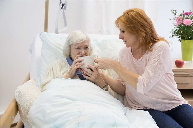 Arbeitszeugnis Vorlage 24 Stunden Pflege Beste Help 24