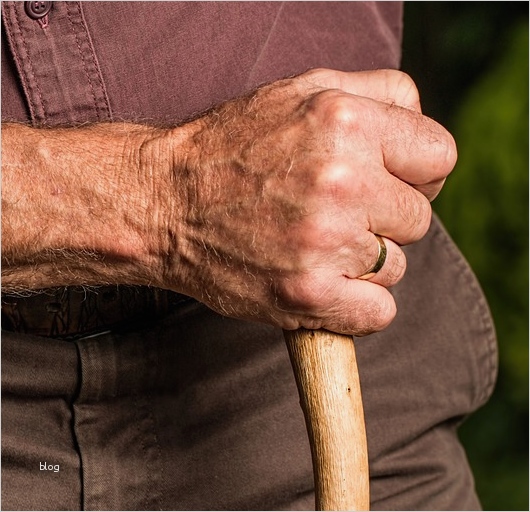 Arbeitszeugnis Vorlage 24 Stunden Pflege Schön Betreuung Einer Pflegebedürftigen Person Hier Kein