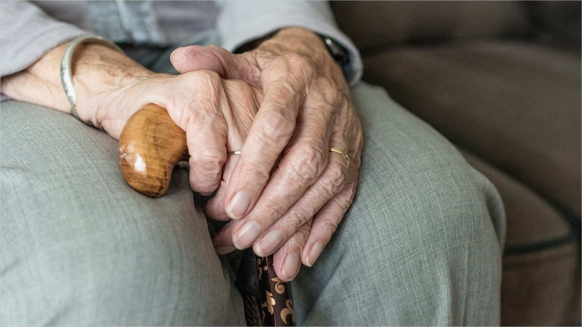Arbeitszeugnis Vorlage 24 Stunden Pflege Süß 24 Stunden Pflege Ab 2019 Mit “gütesiegel” Österreich