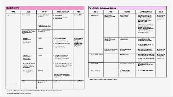 Auditprogramm Vorlage Kostenlos Angenehm Hygieneplan Für Praxis Erneuert Dentalmagazin