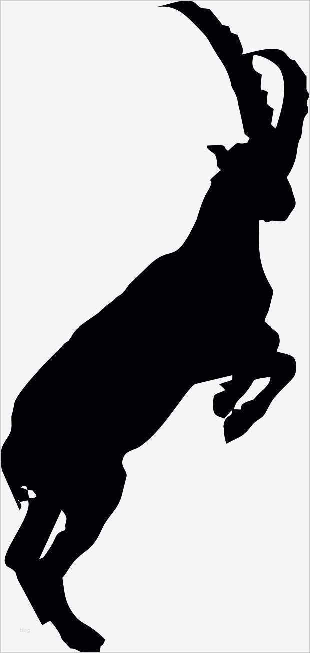 Aufkleber Nach Vorlage Großartig 2x Auto Aufkleber Sternzeichen "steinbock" Capricorn Car