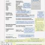 Ausbildung Lebenslauf Vorlage Einzigartig Muster Lebenslauf Mit Hinweisen