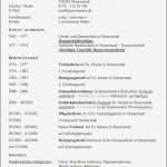 Ausführlicher Lebenslauf Vorlage Schön Ausf Hrlicher Lebenslauf Woodenbild