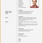 Azubiyo Lebenslauf Vorlage Best Of 11 Lebenslauf Fsj