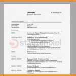 Azubiyo Lebenslauf Vorlage Einzigartig 8 Muster Lebenslauf Pdf