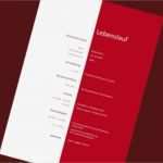 Azubiyo Lebenslauf Vorlage Elegant Bewerbungen Und Lebenslauf Lebenslauf Beispiel