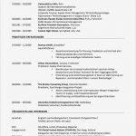 Azubiyo Lebenslauf Vorlage Elegant Lebenslauf überschrift