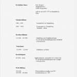 Azubiyo Lebenslauf Vorlage Erstaunlich Wie Schreibe Ich Eine Lebenslauf Lebenslauf Beispiel