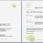 Azubiyo Lebenslauf Vorlage Genial Lebenslauf Muster 2013 Lebenslauf Beispiel