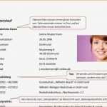 Azubiyo Lebenslauf Vorlage Inspiration 5 Lebenslauf Schriftgröße