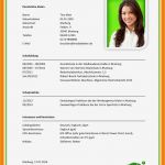 Azubiyo Lebenslauf Vorlage Wunderbar 9 Funktionaler Lebenslauf Muster