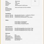Bachelor thesis Vorlage Wunderbar 10 Muster Lebenslauf Scüler