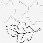 Basteln Mit tonkarton Vorlagen Angenehm Herbst Basteln Mit Kindern Ideen Anleitungen Und Vorlagen