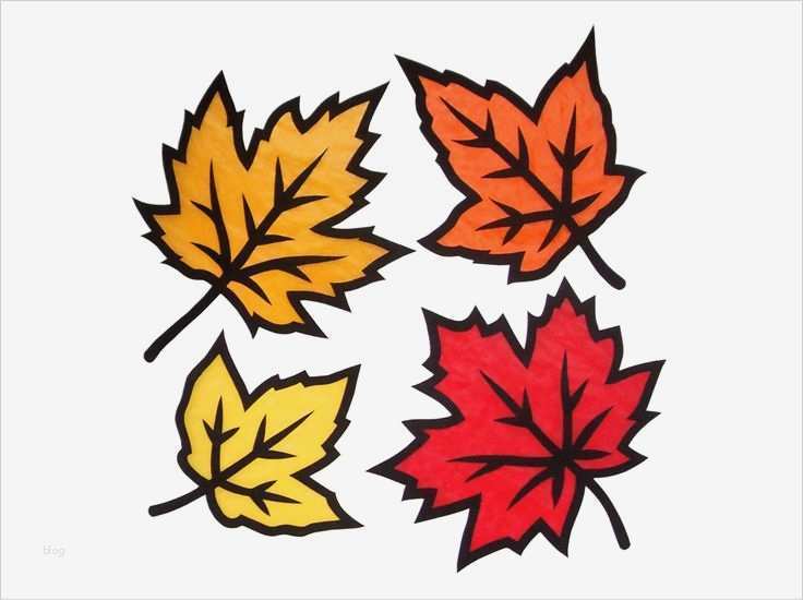 Basteln Mit tonkarton Vorlagen Elegant Die Besten 17 Ideen Zu Herbstblätter Vorlagen Auf