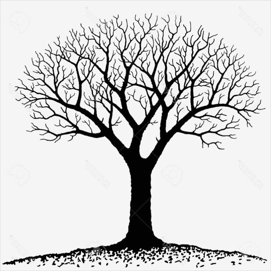 Baum An Wand Malen Vorlagen Neu 100 Malen Bilder Vorlagen Bilder Ideen