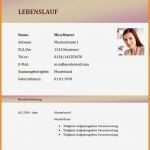 Bautenstandsbericht Architekt Vorlage Cool 12 Lebenslauf Architekt