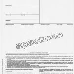 Beförderungspapier Adr Vorlage Download Cool Fantastisch Cmr Vorlage Zeitgenössisch Beispiel