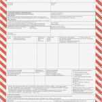 Beförderungspapier Adr Vorlage Download Inspiration Declaration Dangerous Goods Declaration form with