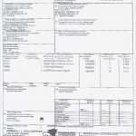 Beförderungspapier Adr Vorlage Download Luxus Zolline